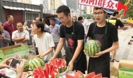 今日吃瓜-热心的朝阳群众吃瓜,揭秘今日热点事件